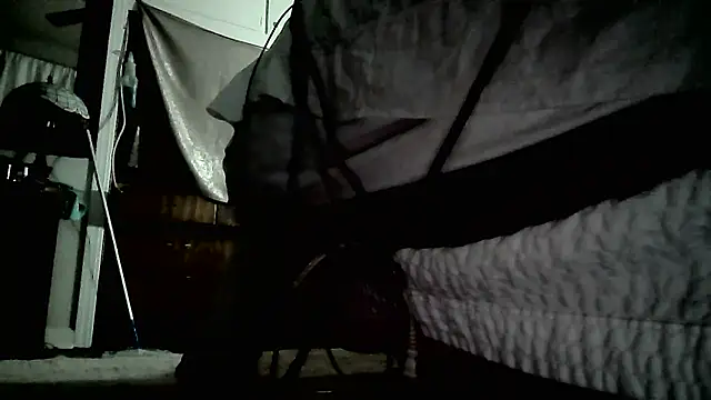 paiday online show from 25, 12, 2024