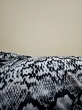 dinaa-18 online show from 12, 11, 2025