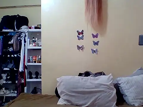 Zara Twilight online show from 11, 1, 2026