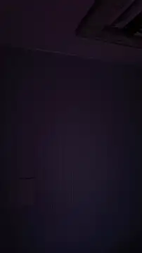 eupica1195 online show from 16, 11, 2025