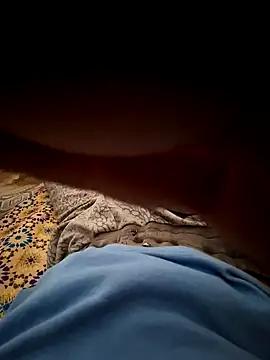 mehdi haway online show from 31, 10, 2025