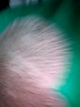 Haralushiaaa online show from 4, 12, 2025