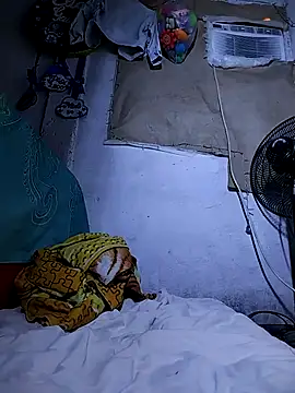 The-quee22 online show from 11, 10, 2025