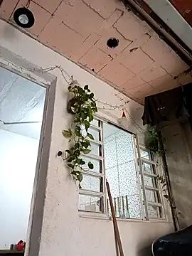 Brasilsexxx online show from 18, 12, 2025