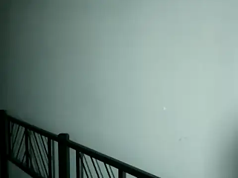 100Tauros online show from 13, 11, 2025