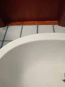 Durovoglioso2 online show from 15, 3, 2026