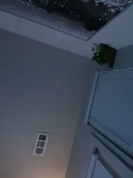 goldbuni online show from 17, 11, 2025