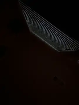 goldbuni online show from 29, 11, 2025