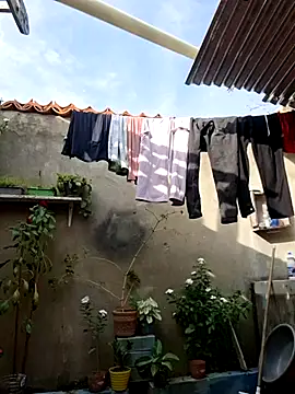 room 24funn online show from 10, 1, 2026