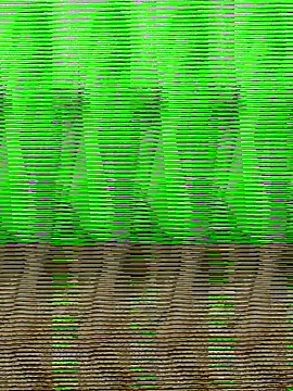 Snapshot of HimiJim chatting on 10, 11, 2025 HimiJim online show from 10, 11, 2025