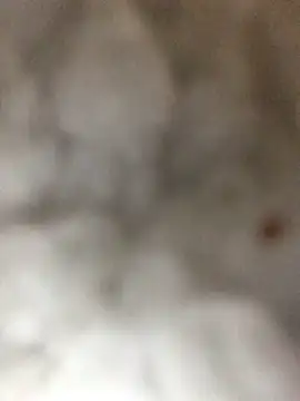 indie-rayne online show from 3, 1, 2025