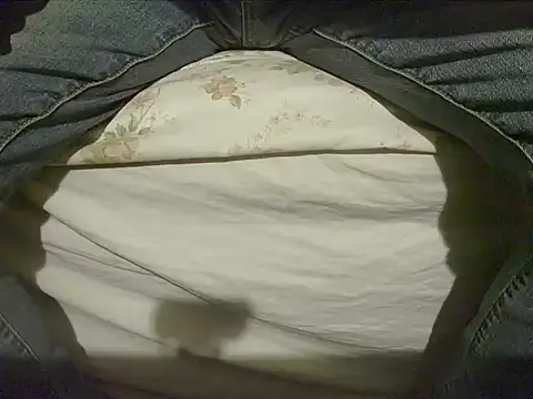 Snapshot of Tiger202441 chatting on 8, 12, 2024 Tiger202441 online show from 8, 12, 2024