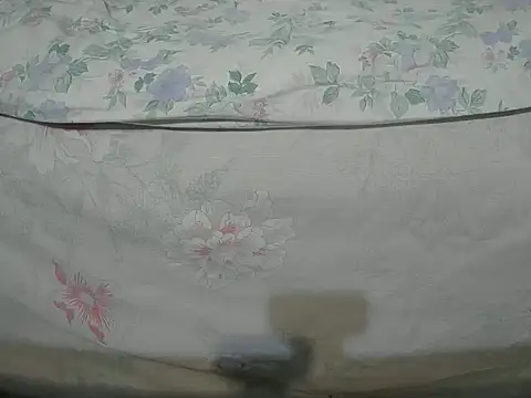 Snapshot of Tiger202441 chatting on 16, 12, 2024 Tiger202441 online show from 16, 12, 2024