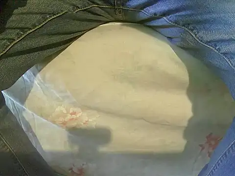 Snapshot of Tiger202441 chatting on 17, 12, 2024 Tiger202441 online show from 17, 12, 2024