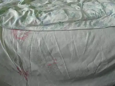 Snapshot of Tiger202441 chatting on 18, 12, 2024 Tiger202441 online show from 18, 12, 2024