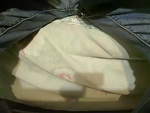 Snapshot of Tiger202441 chatting on 23, 12, 2024 Tiger202441 online show from 23, 12, 2024