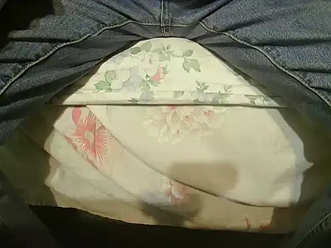 Snapshot of Tiger202441 chatting on 25, 12, 2024 Tiger202441 online show from 25, 12, 2024