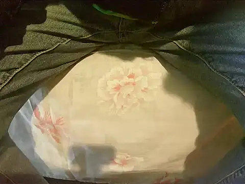 Snapshot of Tiger202441 chatting on 30, 12, 2024 Tiger202441 online show from 30, 12, 2024