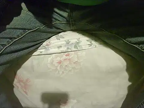 Snapshot of Tiger202441 chatting on 30, 12, 2024 Tiger202441 online show from 30, 12, 2024