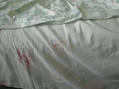 Snapshot of Tiger202441 chatting on 31, 12, 2024 Tiger202441 online show from 31, 12, 2024