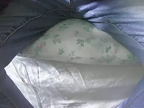 Snapshot of Tiger202441 chatting on 2, 2, 2025 Tiger202441 online show from 2, 2, 2025