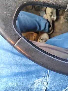 murokkk31 online show from 8, 1, 2026