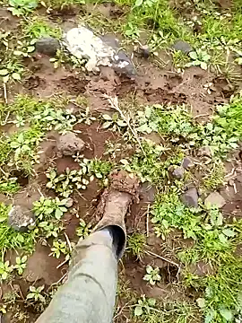 Snapshot of murokkk31 chatting on 29, 3, 2026 murokkk31 online show from 29, 3, 2026