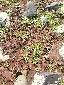 Snapshot of murokkk31 chatting on 30, 3, 2026 murokkk31 online show from 30, 3, 2026