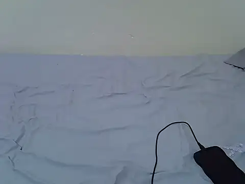 tasty piee online show from 25, 10, 2025