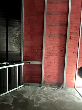 Hellen 111 online show from 11, 11, 2025