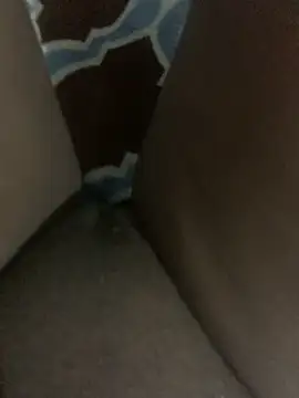 Snapshot of WyvaxxNikkie chatting on 23, 1, 2025 WyvaxxNikkie online show from 23, 1, 2025