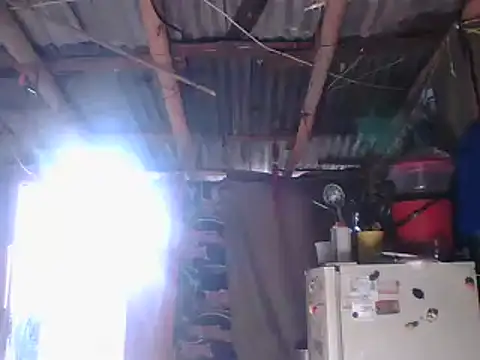 Alanagracia online show from 14, 1, 2025