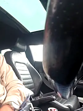 Snapshot of TheSouthernKing chatting on 6, 3, 2026 TheSouthernKing online show from 6, 3, 2026