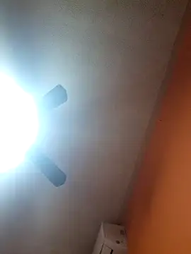 Snapshot of miicheele32 chatting on 4, 11, 2025 miicheele32 online show from 4, 11, 2025