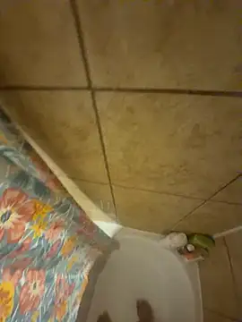 Snapshot of alxcol chatting on 3, 12, 2025 alxcol online show from 3, 12, 2025