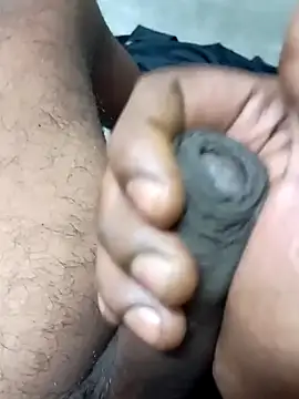 dombbcking online show from 11, 12, 2024