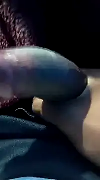 dombbcking online show from 28, 12, 2024