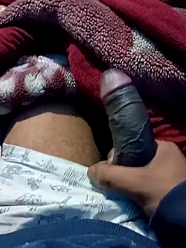 dombbcking online show from 31, 12, 2024