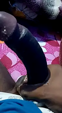 dombbcking online show from 13, 1, 2025