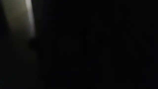 Snapshot of joeydee1 chatting on 7, 12, 2024 joeydee1 online show from 7, 12, 2024