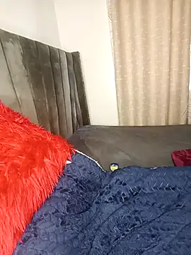 Golden diver online show from 24, 11, 2025