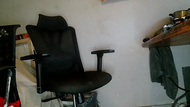 Snapshot of Gigadickman chatting on 1, 1, 2025 Gigadickman online show from 1, 1, 2025