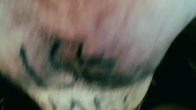 Snapshot of Gigadickman chatting on 5, 1, 2025 Gigadickman online show from 5, 1, 2025