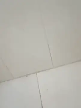 taradobbsafadok online show from 1, 12, 2025