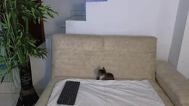 Lorenne Miller online show from 26, 10, 2025