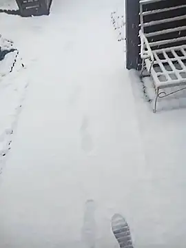 Snapshot of -Purah- chatting on 3, 2, 2025 -Purah- online show from 3, 2, 2025