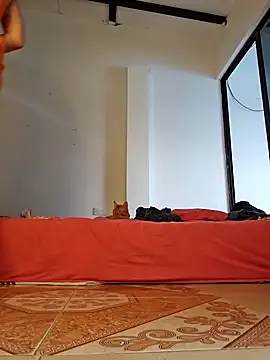 Abbyjonhson   online show from 11, 2, 2026