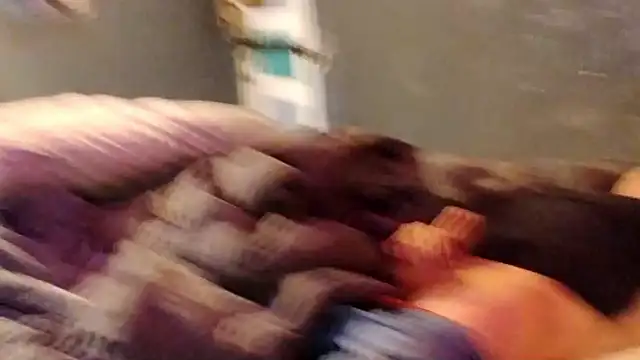 OFxzylo online show from 11, 3, 2026