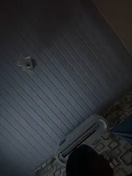 Avint-Perfeita online show from 20, 11, 2025