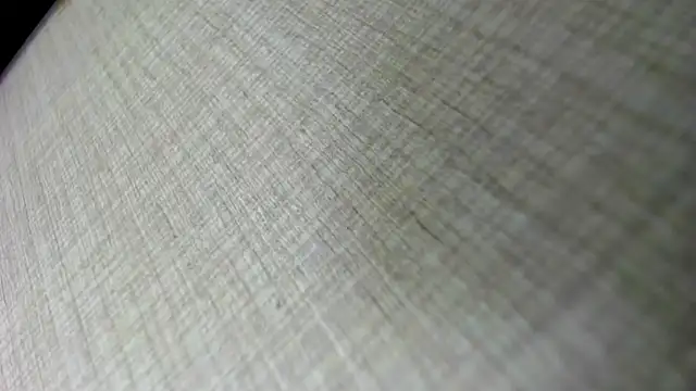 AishaRouhi online show from 5, 11, 2025